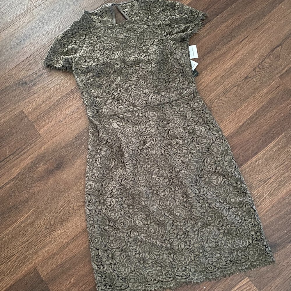 NWT $109 Banana Republic Green Lace Dress Size 6